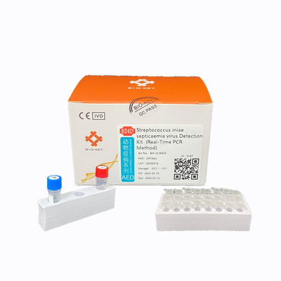 蛍光調査の連鎖球菌テスト キットCt38 PCRの水産養殖のキット