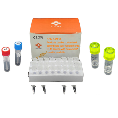アフリカ豚コレラ ブタ テスト キットASFV実時間PCR急速なテスト キット
