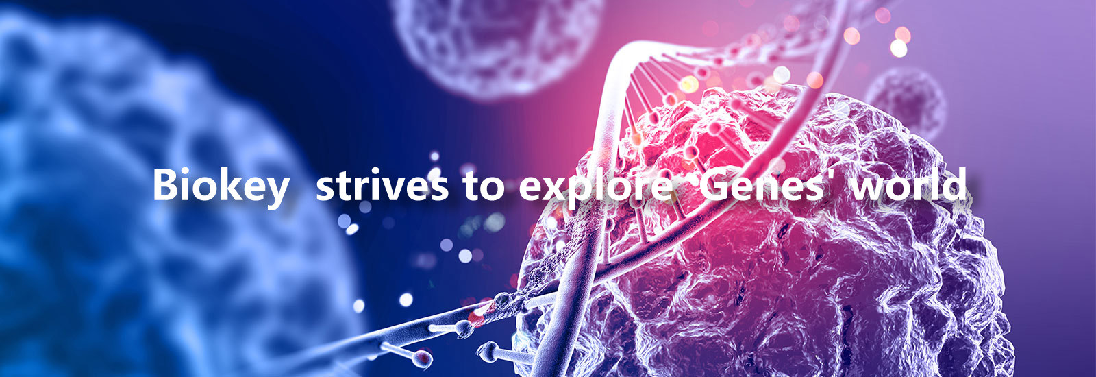 品質 RTのqPCR機械 工場