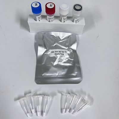 エビの組織 Vpa Vibrio Parahaemolyticus リアルタイムPCR検出キット